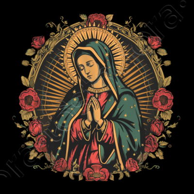 Remera Camiseta Virgen de Guadalupe